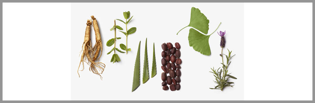 La-Biosthetique-Botanique-1-centum