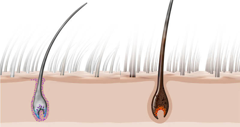 Friseur-Berlin-La-Biosthetique-Neues-Jahr-Neue-Pflege-03